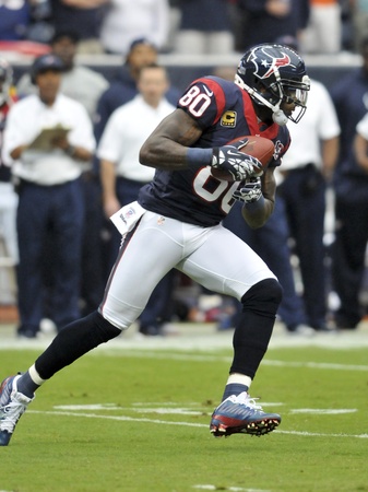 Andre Johnson Titans