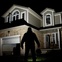 burglar, burglary, house