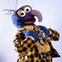 Austin Photo Set: News_Michael_Chicfila Jim Hensen_July 2012_gonzo