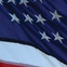 News_Ron Paul