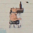 News_Mary's, Naturally_mural_cat