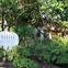 Places-Hotels/Spas-Trellis The Spa at The Houstonian-exterior-1