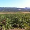 News_Jayme Lamm_wine country trekking_March 2012_Sonoma Valley