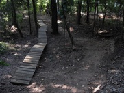 justin_brindley_sugar_land_memorial_park
