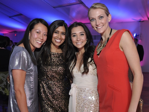 013, The Menil Bleu Electrique, December 2012, Ting Bresnahan, Divya Brown, Hasti Taghi, Sarah Cotting