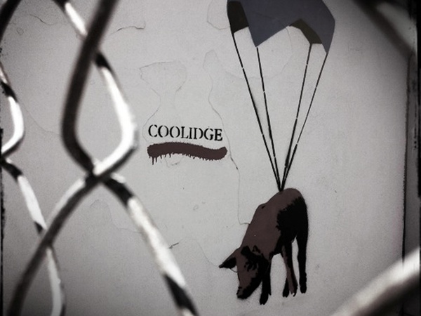 pig, parachute, graffiti