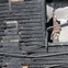 News_Dolce Vita_fire_charred wall