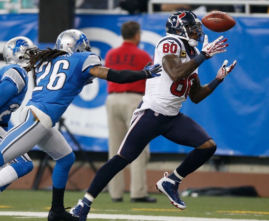 Andre Johnson Lions catch