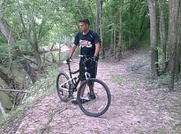 terry_hershey_anthills