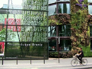 scene from the movie Biophilic Design: An Architecture of Life