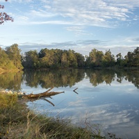 Kickerillo-Mischer Preserve