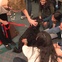 Rice students, dogs, stress relief, December 2012