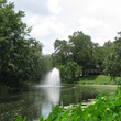 News_Peter Barnes_New Orleans_audubon park