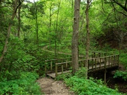 Cedar Ridge Preserve