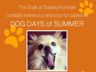 Stanley Korshak Dog Days of Summer