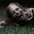 News_The Walking Dead