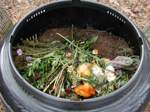 News_Living Green_plant_compost_placeholder2