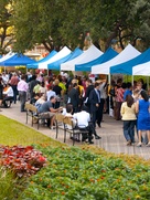 News_green Houston_City Hall Farmers Market_future
