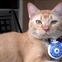 links we love_october 21 2012
