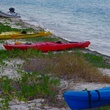 tortugas_kayaks
