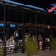 blue fish dallas