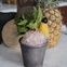 Austin Photo Set: News_Layne_cocktails_june 2012_tiki julep