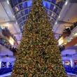 The Galleria, Christmas tree, tree lighting
