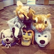 News_Jayme_Clutch Mascot Camp_July 2011_Mascot_Heads
