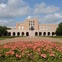 News_Rice University