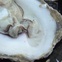 News_Ruthie_Oysters_Gilhooley's