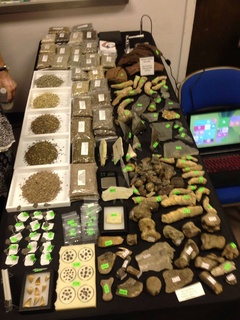 Houston Fossil, Mineral, Jewelry, and Archaeological Trade Show