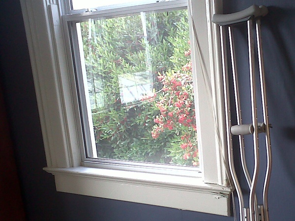 crutches, window