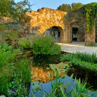 Lady Bird Johnson Wildflower Center