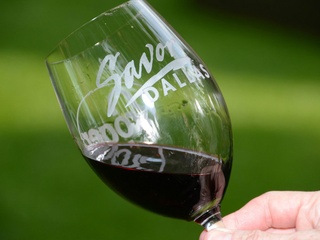 Savor Dallas