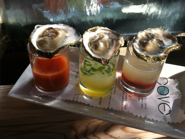 Cove, Oyster Shooters