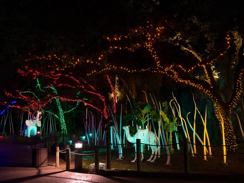 slideshow houston s best holiday lights it s hard to slideshow houston s best holiday lights it s hard to