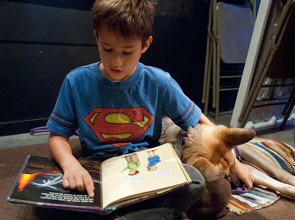 Children S Museum Of Natural Science Sugar Land Children S Museum Of Natural Science Sugar Land