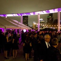Long Center_Purple Party 7_terrace_crowd_2015
