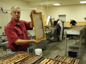 Stroope Honey Farms