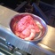News_Marene_brains