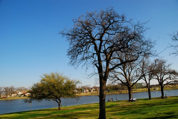 Bachman Lake