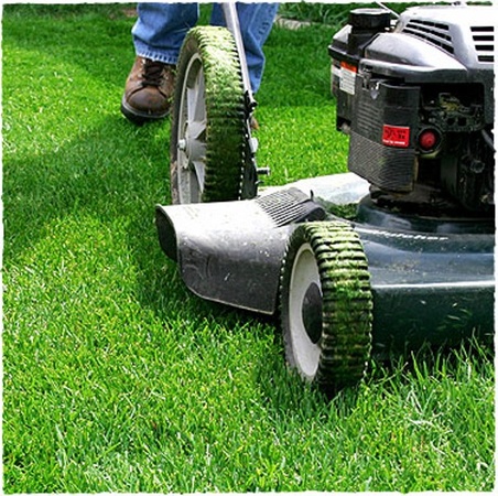 Austin Photo Set: News_Melissa_lawn mowing_march 2012_green grass