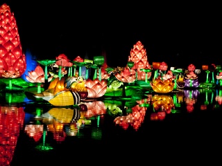 Chinese Lantern Festival