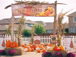 Viridian Fall Fest