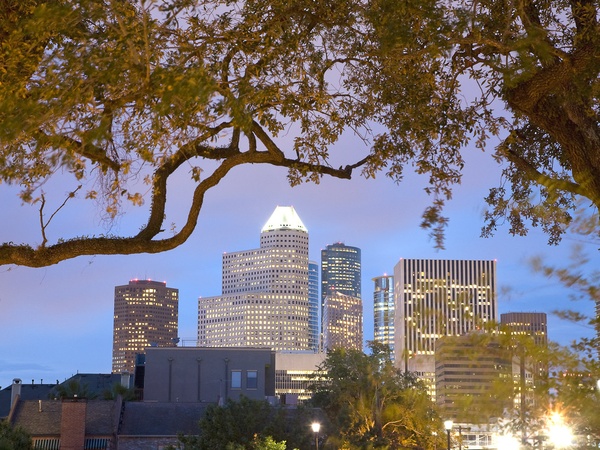 News_La Maison_bed and breakfast_view_skyline