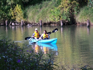 Kayak tour