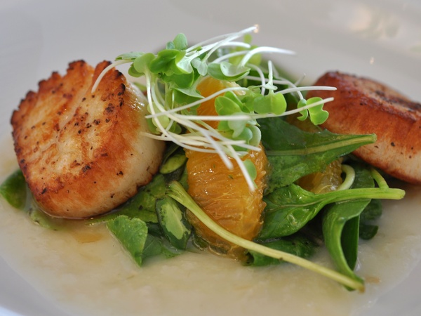 sorrel scallops