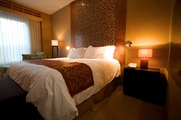 Austin_Photo: Places_Hotel_Casulo Hotel_room