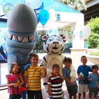 The Downtown Aquarium presents Shark Weekend