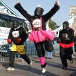 Austin photo: News_Ryan_Drafthouse Picks_Jan 2013_gorilla run